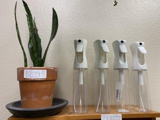 Snake Plant & Spray Bottles