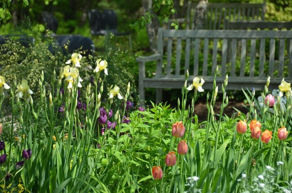 The Healing Garden at Mid Coast Hospital