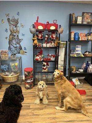 Merchandise sold at the shop and the owner's adorable dogs.