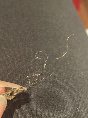 My literal hair follicles being pulled from the root...