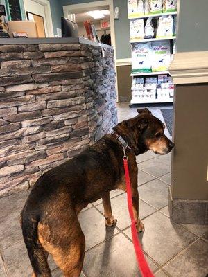 Front desk and food and treat selection.