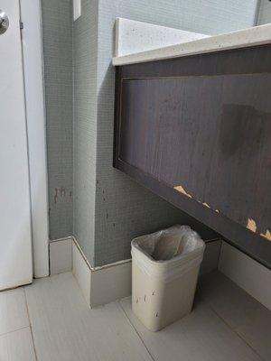 Tiny trash can, the only one in the room, peeling vanity and bio-hazard dripping down the wall