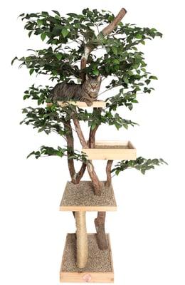 Sycamore Pet Tree House - Feline Tree House