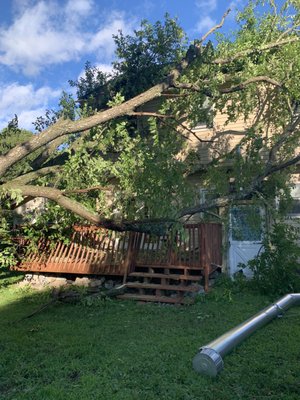 Emergency tree removal