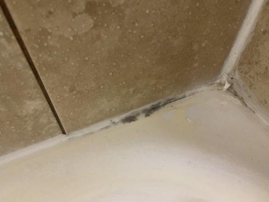 Black mold in the bathroom