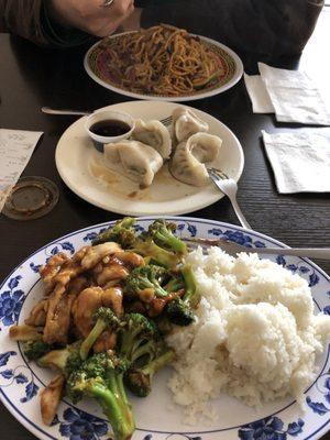 Dumplings, chicken and broccoli with steam rice, lo mein noodles