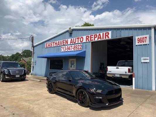 2020 GT500