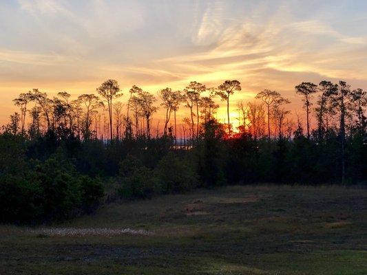 Sunset off my back porch