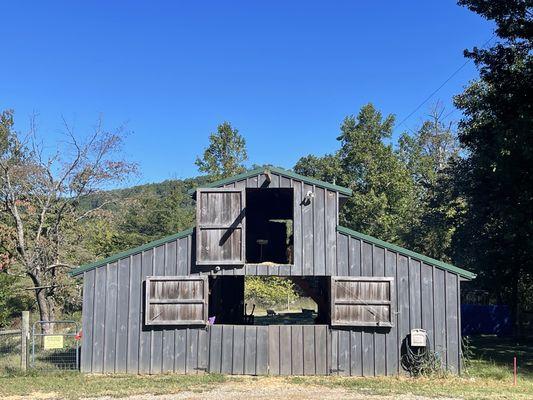 Pygmy Harbor Farm