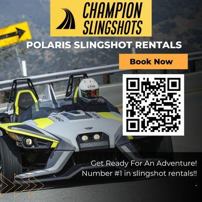 Champion Slingshots