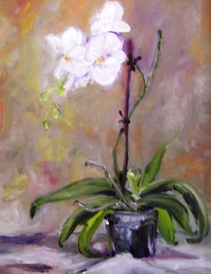 white orchid