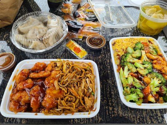 Dumplings, general tso, and shrimp with broccoli. A++