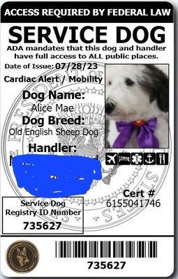 A registered medicaid service dog tag