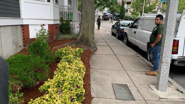 Boston Landscaping and Lawn Specialist