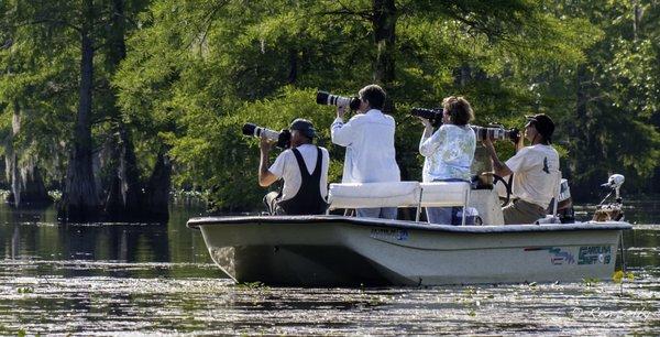 Lowcountry Photo Safaris