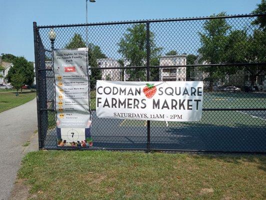 Codman Square Farmer's Market