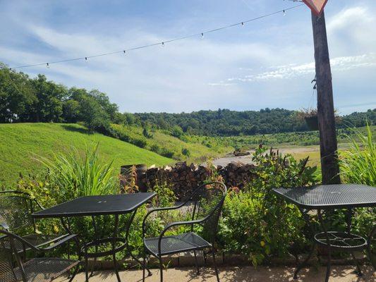 A beautiful view from the eating area by the food truck.