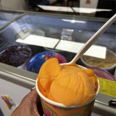 The mango sorbet