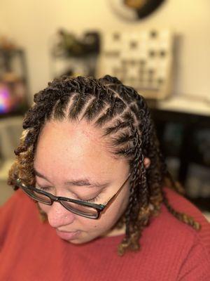 Two Strand Twist