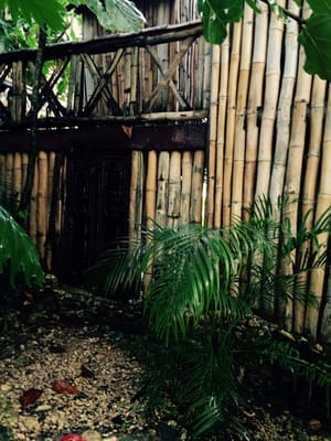 Entrance to the Bamboo hut