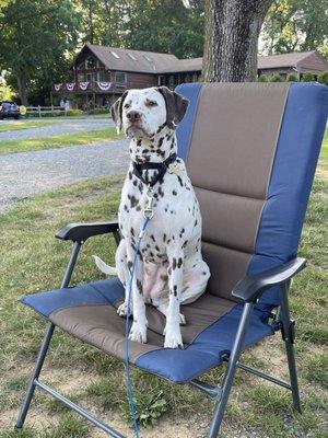 Freckles enjoying camping!