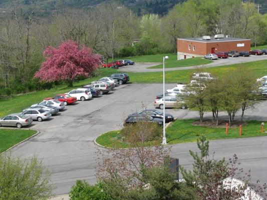 Plentiful parking, including a visitor lot