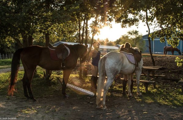 New Horizon Stables