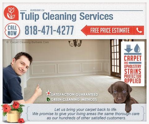 Carpet Steam Cleaning