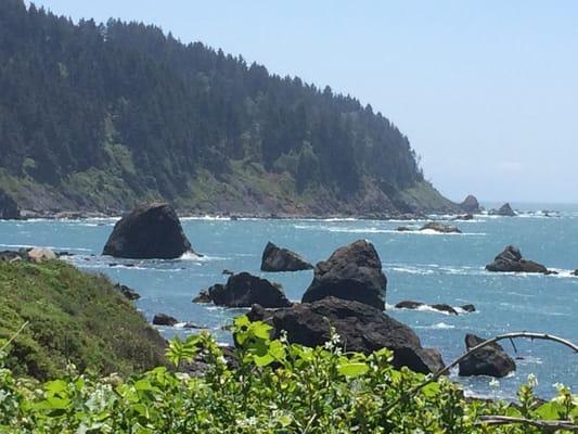 Ocean view from trail