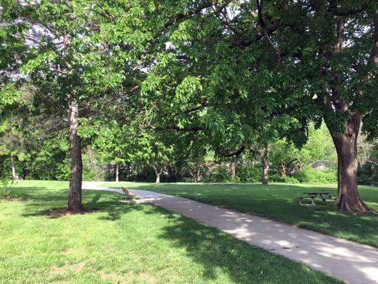 Quiet Wooded Path