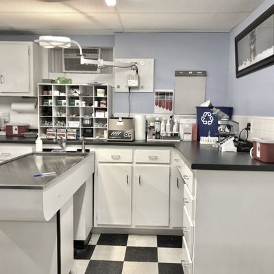 Treatment/diagnostic laboratory