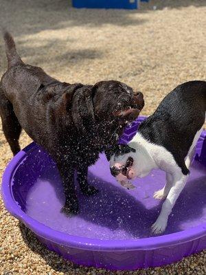 Sprinkler time!