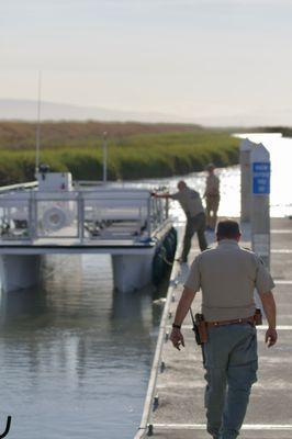 🏞️Santa Clara County Parks Salt Marsh Safari🏞️