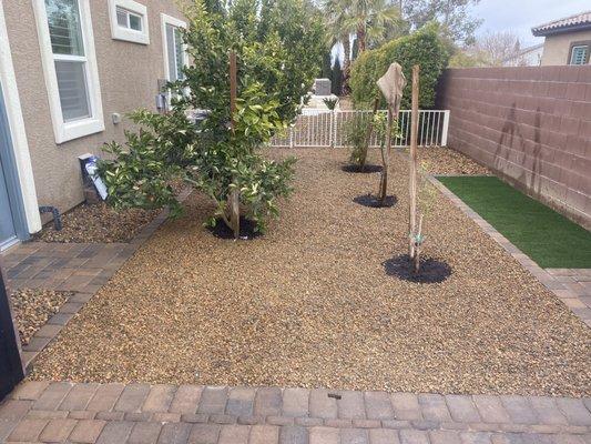 Grass conversion to Desert landscaping