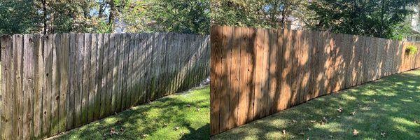 Fence Pressure Washing