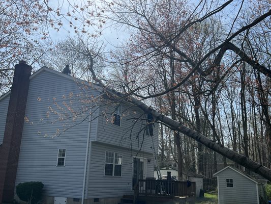 Emergency service offered for tree that has fallen on house.