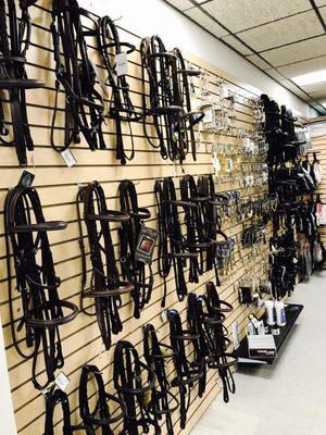 We have a wall of bridles for both the dressage and hunter/jumper disciplines.