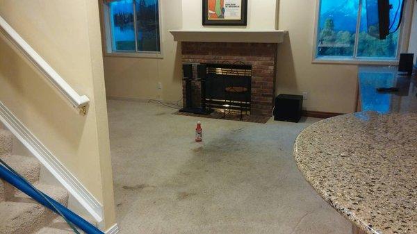 Before, residential carpet with deep ground in dirt and fireplace ashes.