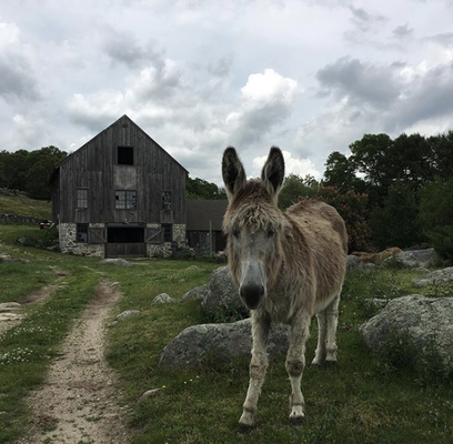 Wehpittituck Farm