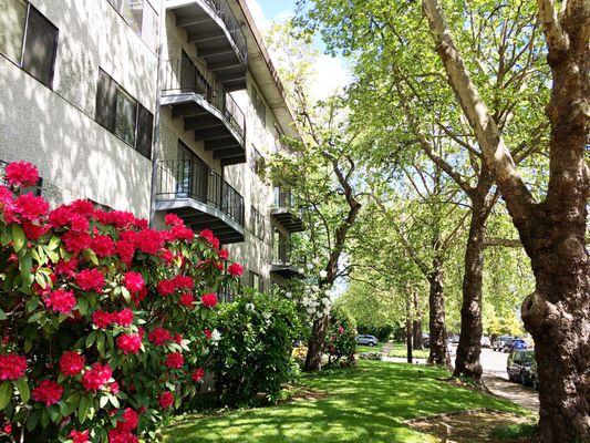 Park Plaza Apartments near Oregon State University