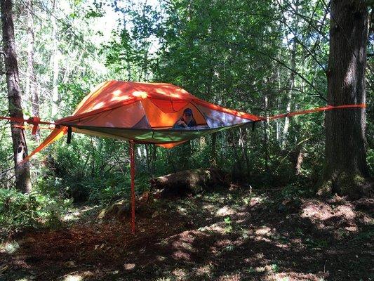 Stingray Tree Tent at the Hemlock camp site!