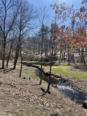 View from the walking path