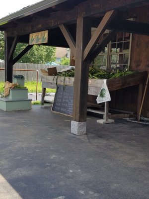 Corn stand. The corn is sweet and very good.