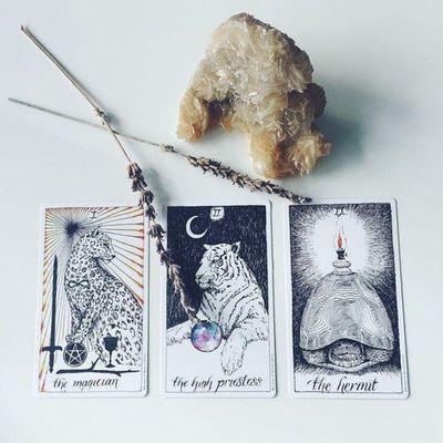 Tarot reading.