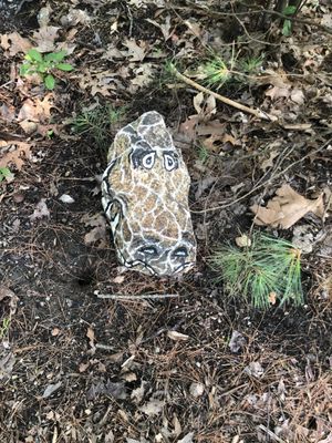 Rocks near the wildlife refuge