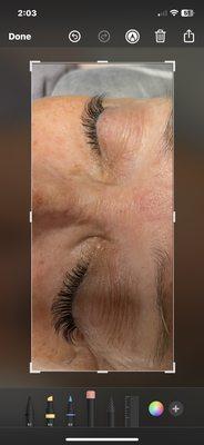 Lash Brats Eyes @Hair Extensions