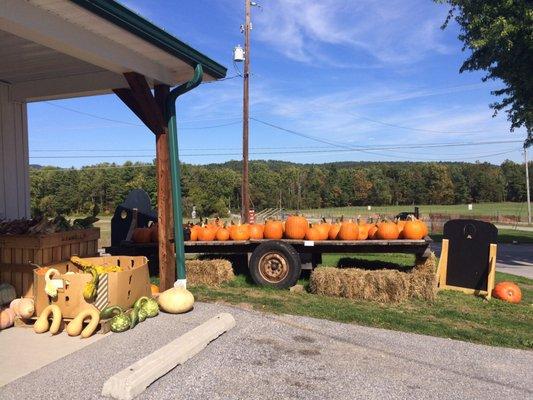 McDannell Fruit Farm & Market