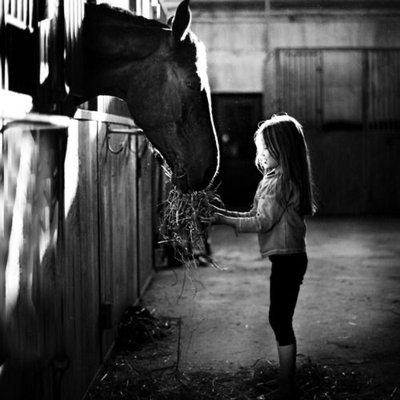 Boulder Ridge Stables