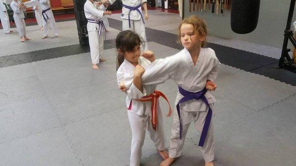 Youth Karate Class