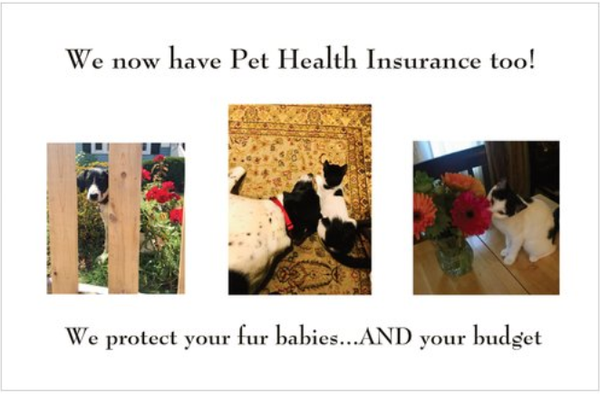 We now have Pet Health Insurance for your fur babies